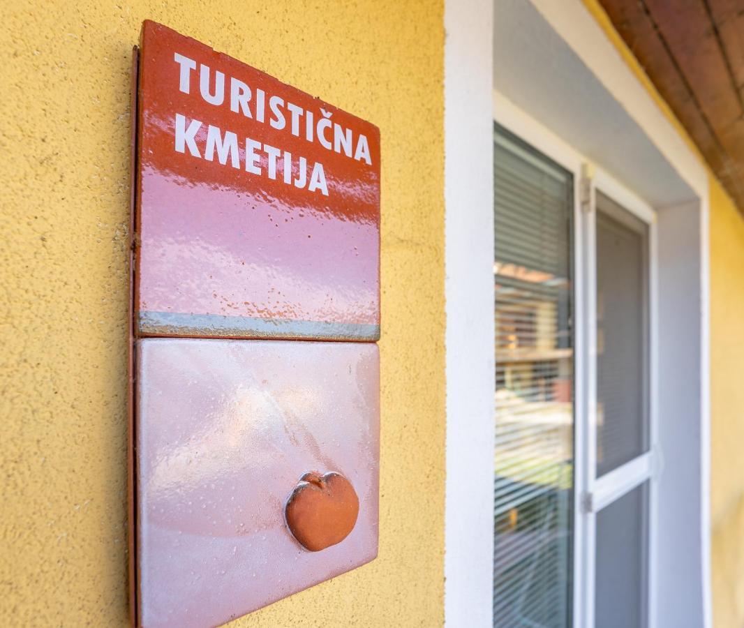 Fortun Estate - Apartmaji Ob Reki Kolpi Metlika Eksteriør billede